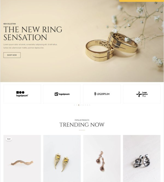 Home jewelry store websites